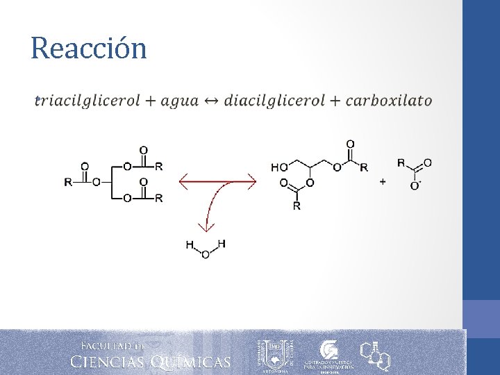 Reacción • Reacción •