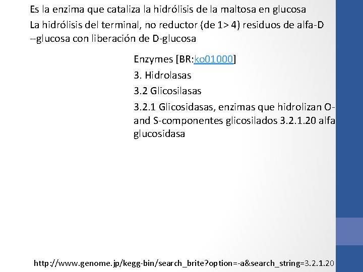 Es la enzima que cataliza la hidrólisis de la maltosa en glucosa La hidrólisis Es la enzima que cataliza la hidrólisis de la maltosa en glucosa La hidrólisis