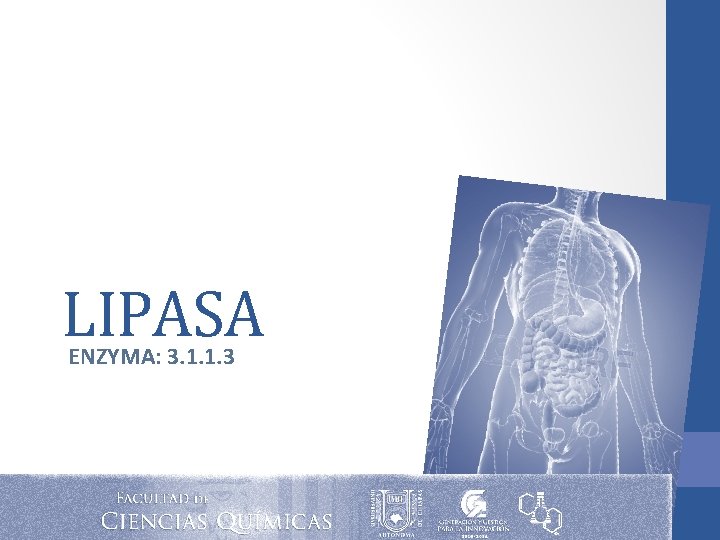 LIPASA ENZYMA: 3. 1. 1. 3 LIPASA ENZYMA: 3. 1. 1. 3