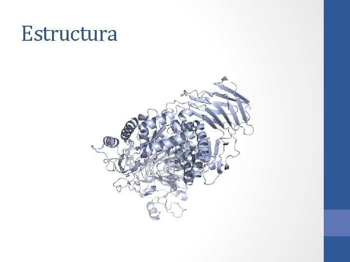 Estructura Estructura