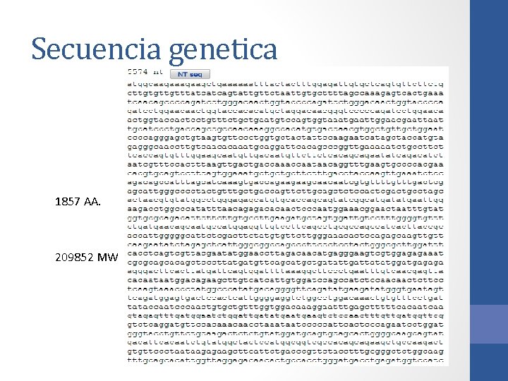 Secuencia genetica 1857 AA. 209852 MW Secuencia genetica 1857 AA. 209852 MW