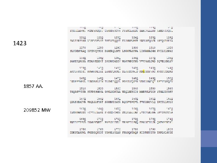 1423 1857 AA. 209852 MW 1423 1857 AA. 209852 MW