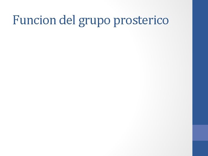 Funcion del grupo prosterico Funcion del grupo prosterico