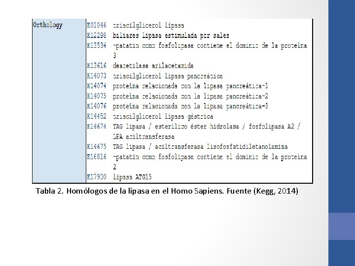 Tabla 2. Homólogos de la lipasa en el Homo Sapiens. Fuente (Kegg, 2014) Tabla 2. Homólogos de la lipasa en el Homo Sapiens. Fuente (Kegg, 2014)