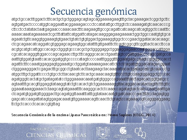 Secuencia genómica atgctgccactttggactctttcactgctgctgggagcagtagcaggaaaagaagtttgctacgaaagactcggctgcttc agtgatgactccccatggtcaggaattacggaaagacccctccatatattgccttggtctccaaaagatgtcaacacccg cttcctcctatatactaatgagaacccaaacaactttcaagaagttgccgcagattcatcaagcatcagtggctccaatttc aaaacaaatagaaaaactcgctttattattcatggattcatagacaagggagaagaaaactggccaatgtgtgca agaatctgttcaaggtggaaagtgtgaactgtatctgtgtggactggaaaggtggctcccgaactggatacacacaagc ctcgcagaacatcaggatcgtgggagcagaagtggcatattttgttgaatttcttcagtcggcgttcggttactcaccttcca acgtgcatgtcattggccacagcctgggtgcccacgctgctggggaggctggaaggagaaccaatgggaccattgga cgcatcacagggttggacccagcagaaccttgctttcagggcacacctgaattagtccgattggaccccagcgatgcca aatttgtggatgtaattcacacggatggtgcccccatagtccccaatttggggtttggaatgagccaagtcgtgggccacct agatttccaaatggaggagtggaaatgcctggatgtaaaaagaacattctcagattgtggacatagacggaat ctgggaagggactcgagactttgcggcctgtaatcacttaagaagctacaaatattacactgatagcatcgtcaaccctg atggctttgctggattcccctgtgcctcttacaacgtcttcactgcaaacaagtgtttcccttgtccaagtggaggctgcccac Secuencia genómica atgctgccactttggactctttcactgctgctgggagcagtagcaggaaaagaagtttgctacgaaagactcggctgcttc agtgatgactccccatggtcaggaattacggaaagacccctccatatattgccttggtctccaaaagatgtcaacacccg cttcctcctatatactaatgagaacccaaacaactttcaagaagttgccgcagattcatcaagcatcagtggctccaatttc aaaacaaatagaaaaactcgctttattattcatggattcatagacaagggagaagaaaactggccaatgtgtgca agaatctgttcaaggtggaaagtgtgaactgtatctgtgtggactggaaaggtggctcccgaactggatacacacaagc ctcgcagaacatcaggatcgtgggagcagaagtggcatattttgttgaatttcttcagtcggcgttcggttactcaccttcca acgtgcatgtcattggccacagcctgggtgcccacgctgctggggaggctggaaggagaaccaatgggaccattgga cgcatcacagggttggacccagcagaaccttgctttcagggcacacctgaattagtccgattggaccccagcgatgcca aatttgtggatgtaattcacacggatggtgcccccatagtccccaatttggggtttggaatgagccaagtcgtgggccacct agatttccaaatggaggagtggaaatgcctggatgtaaaaagaacattctcagattgtggacatagacggaat ctgggaagggactcgagactttgcggcctgtaatcacttaagaagctacaaatattacactgatagcatcgtcaaccctg atggctttgctggattcccctgtgcctcttacaacgtcttcactgcaaacaagtgtttcccttgtccaagtggaggctgcccac
