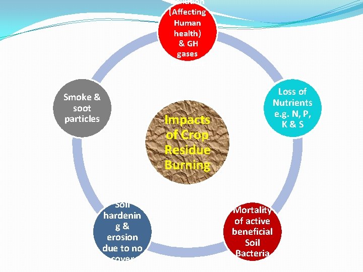 Pollution (Affecting Human health) & GH gases emission Smoke & soot particles Loss of