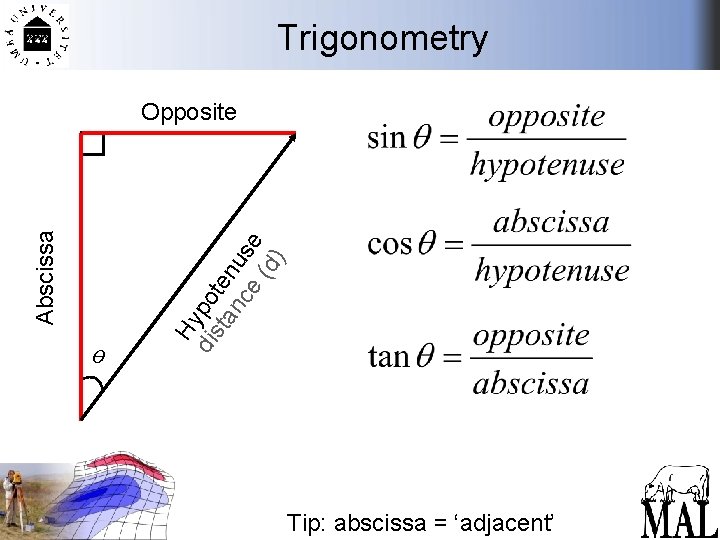 Trigonometry ө Hy dis po ta ten nc us e e (d ) Abscissa