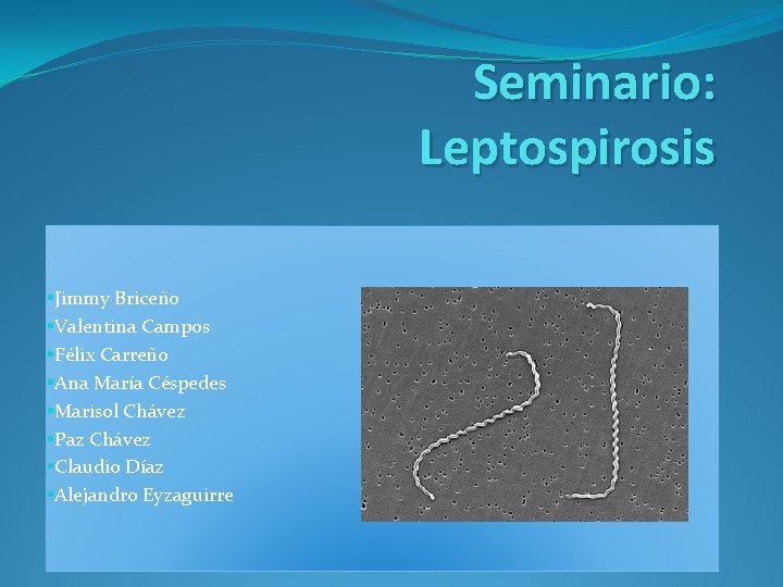 Seminario: Leptospirosis §Jimmy Briceño §Valentina Campos §Félix Carreño §Ana María Céspedes §Marisol Chávez §Paz