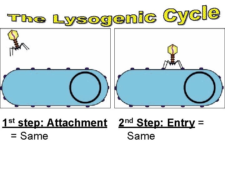 1 st step: Attachment = Same 2 nd Step: Entry = Same 