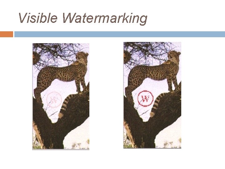 Visible Watermarking 