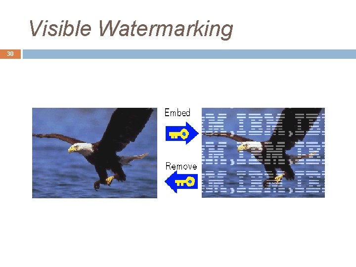 Visible Watermarking 30 