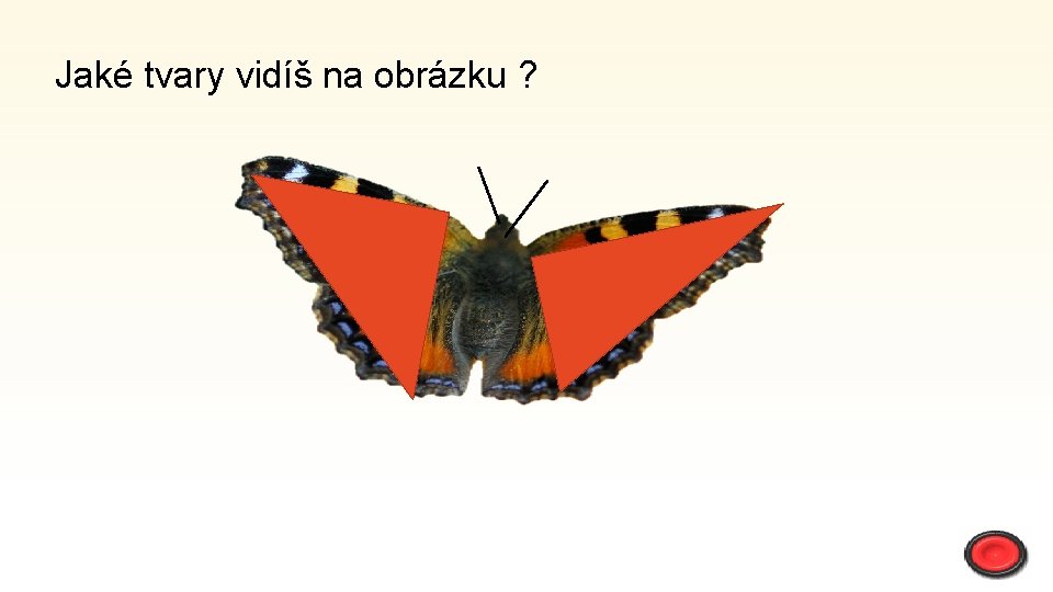 Jaké tvary vidíš na obrázku ? 