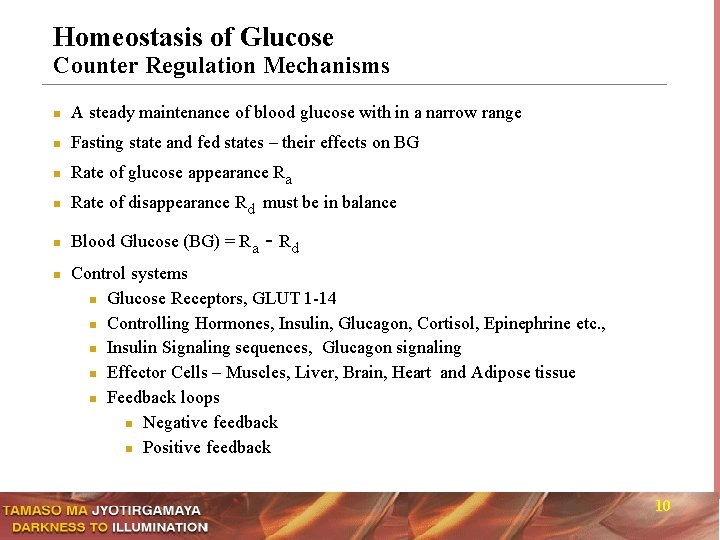 Homeostasis of Glucose Counter Regulation Mechanisms n A steady maintenance of blood glucose with