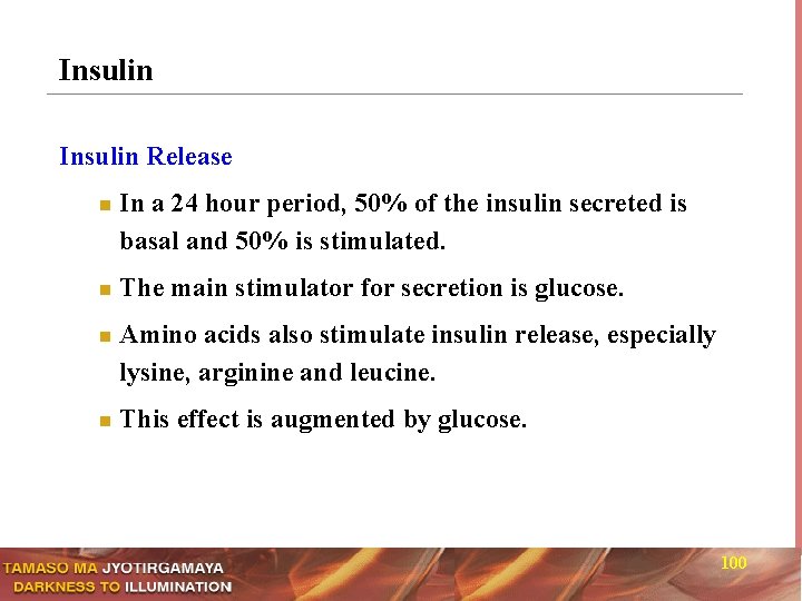 Insulin Release n n In a 24 hour period, 50% of the insulin secreted