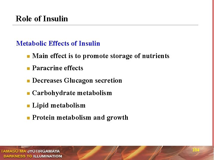 Role of Insulin Metabolic Effects of Insulin n Main effect is to promote storage