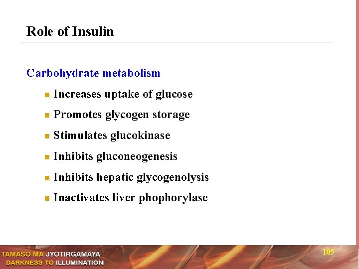 Role of Insulin Carbohydrate metabolism n Increases uptake of glucose n Promotes glycogen storage