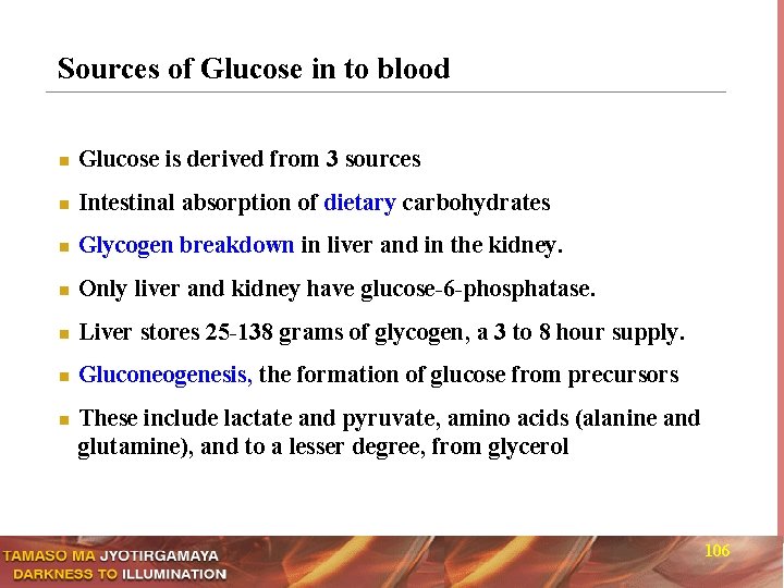Sources of Glucose in to blood n Glucose is derived from 3 sources n