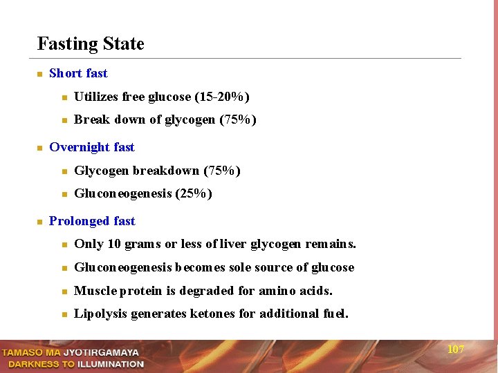 Fasting State n n n Short fast n Utilizes free glucose (15 -20%) n