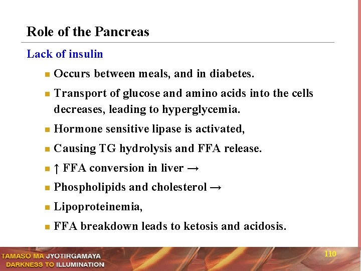 Role of the Pancreas Lack of insulin n n Occurs between meals, and in