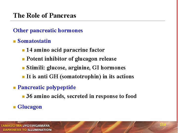 The Role of Pancreas Other pancreatic hormones n n Somatostatin n 14 amino acid