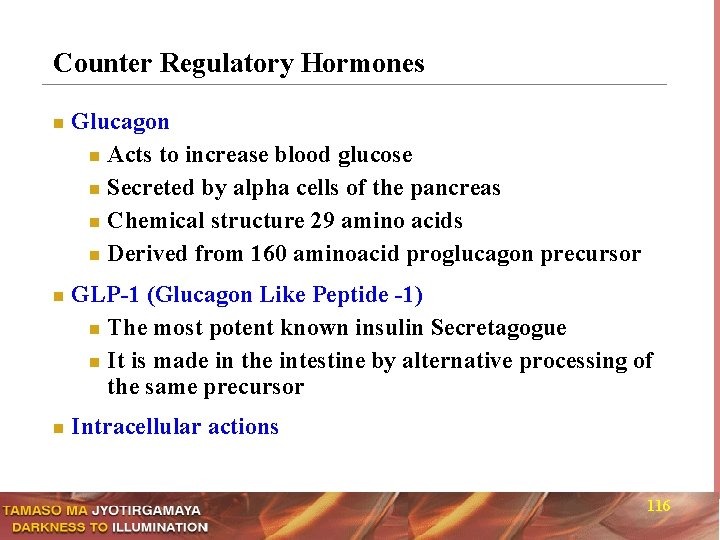 Counter Regulatory Hormones n n n Glucagon n Acts to increase blood glucose n