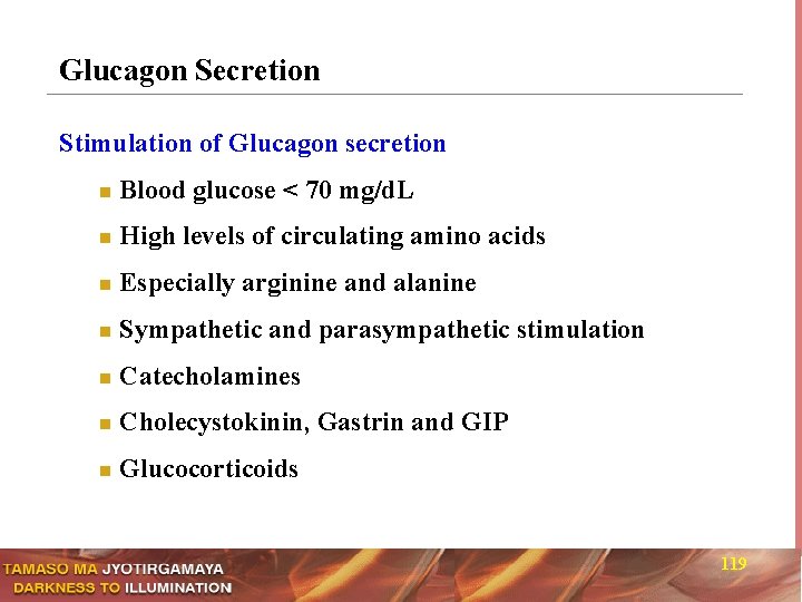 Glucagon Secretion Stimulation of Glucagon secretion n Blood glucose < 70 mg/d. L n