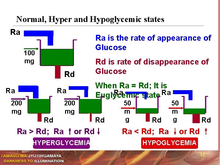 Normal, Hyper and Hypoglycemic states Ra Ra is the rate of appearance of Glucose