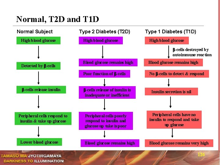 Normal, T 2 D and T 1 D Normal Subject High blood glucose Type