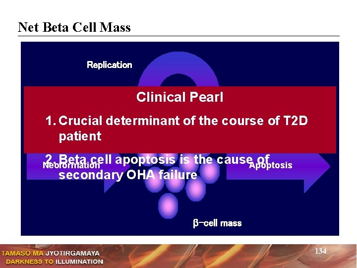 Net Beta Cell Mass Replication Clinical Pearl 1. Crucial determinant of the course of