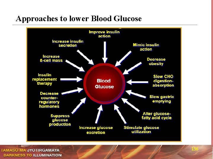 Approaches to lower Blood Glucose 136 