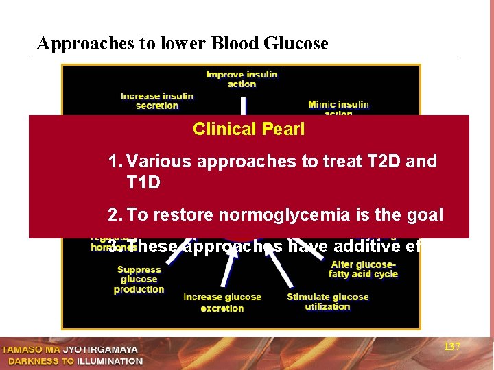 Approaches to lower Blood Glucose Clinical Pearl 1. Various approaches to treat T 2