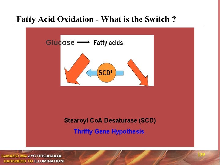 Fatty Acid Oxidation - What is the Switch ? Glucose Stearoyl Co. A Desaturase