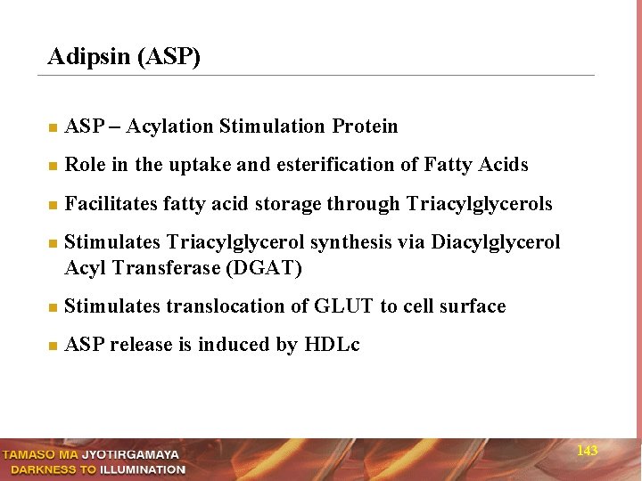 Adipsin (ASP) n ASP – Acylation Stimulation Protein n Role in the uptake and