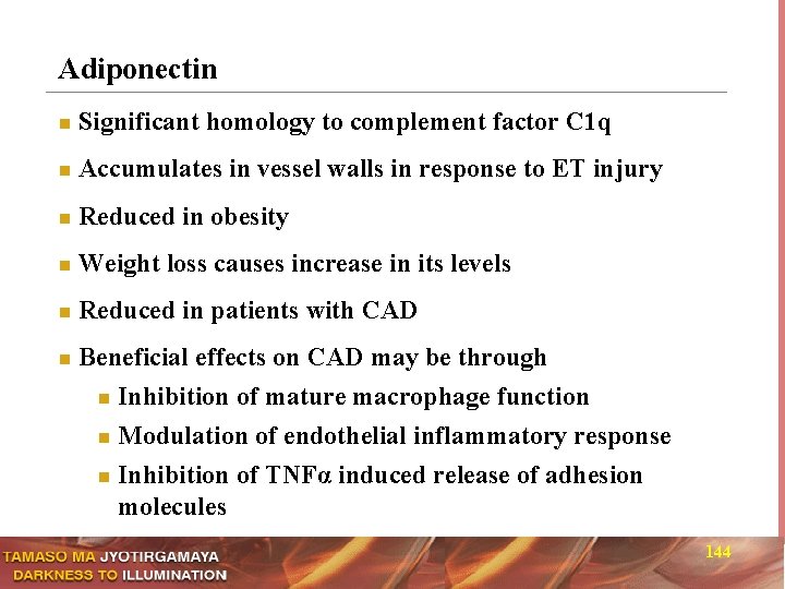 Adiponectin n Significant homology to complement factor C 1 q n Accumulates in vessel