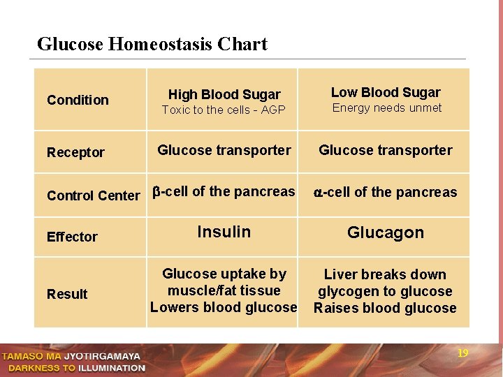 Glucose Homeostasis Chart Condition Receptor High Blood Sugar Toxic to the cells - AGP