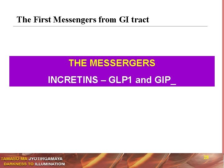 The First Messengers from GI tract THE MESSERGERS INCRETINS – GLP 1 and GIP_