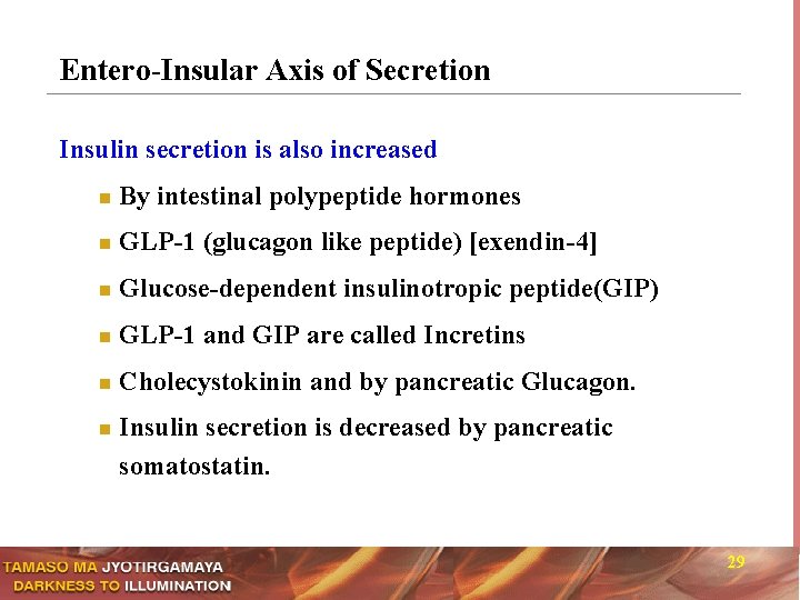 Entero-Insular Axis of Secretion Insulin secretion is also increased n By intestinal polypeptide hormones