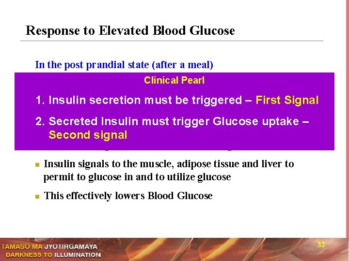 Response to Elevated Blood Glucose In the post prandial state (after a meal) n