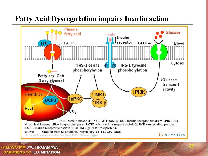 Fatty Acid Dysregulation impairs Insulin action 69 