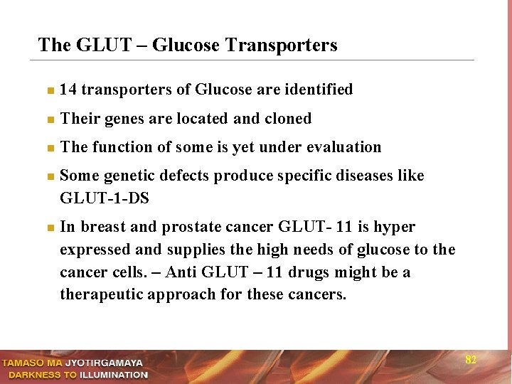 The GLUT – Glucose Transporters n 14 transporters of Glucose are identified n Their