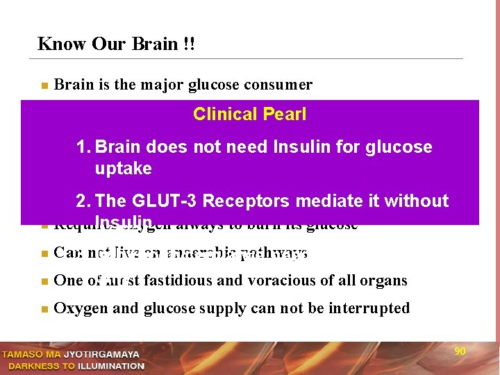Know Our Brain !! n Brain is the major glucose consumer n Consumes 120