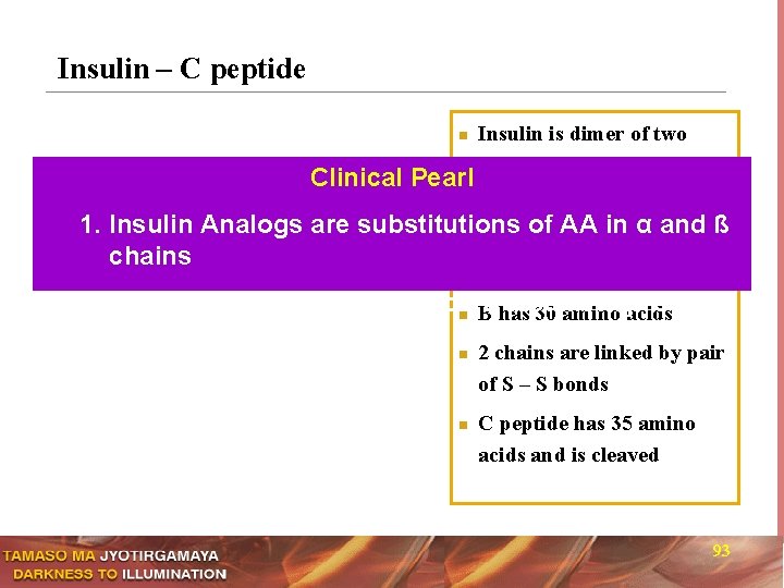 Insulin – C peptide n Clinical Pearl 1. Insulin Analogs are chains Insulin is