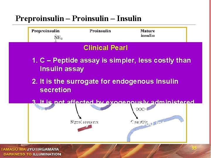Preproinsulin – Proinsulin – Insulin Clinical Pearl 1. C – Peptide assay is simpler,