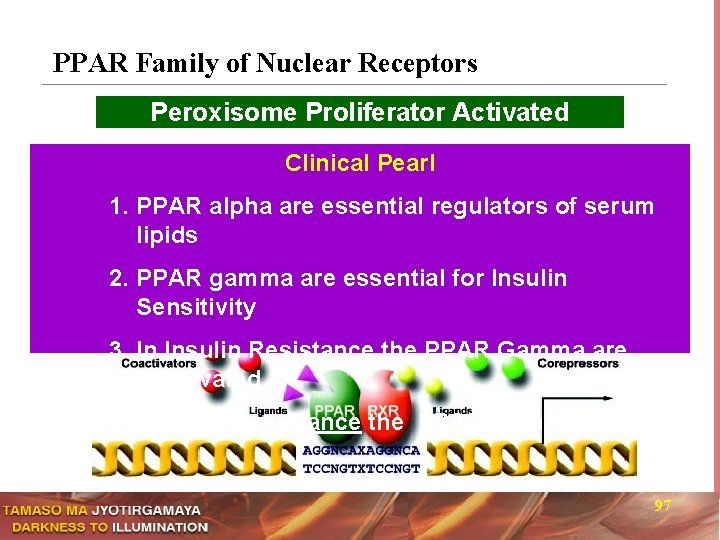 PPAR Family of Nuclear Receptors Peroxisome Proliferator Activated Receptors Clinical Pearl 1. PPAR alpha