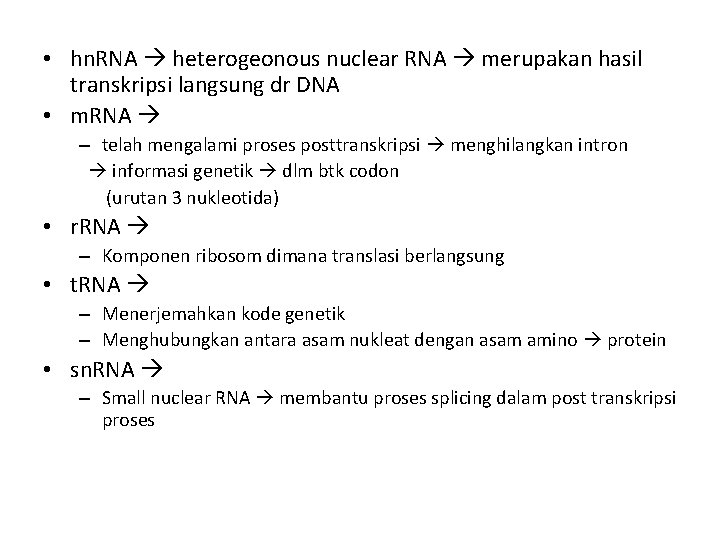  • hn. RNA heterogeonous nuclear RNA merupakan hasil transkripsi langsung dr DNA •