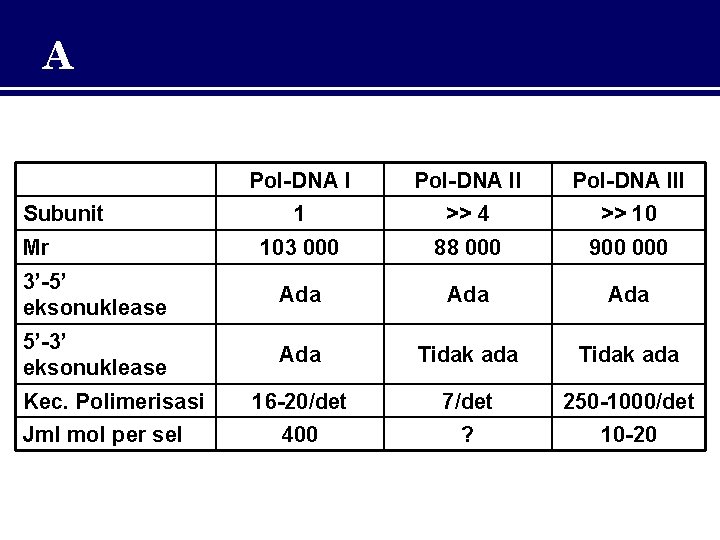 A Pol-DNA III 1 >> 4 >> 10 103 000 88 000 900 000