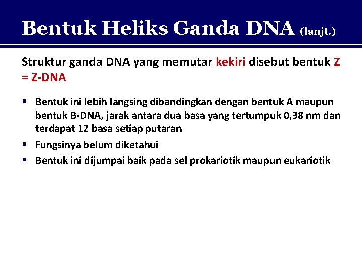 Bentuk Heliks Ganda DNA (lanjt. ) Struktur ganda DNA yang memutar kekiri disebut bentuk