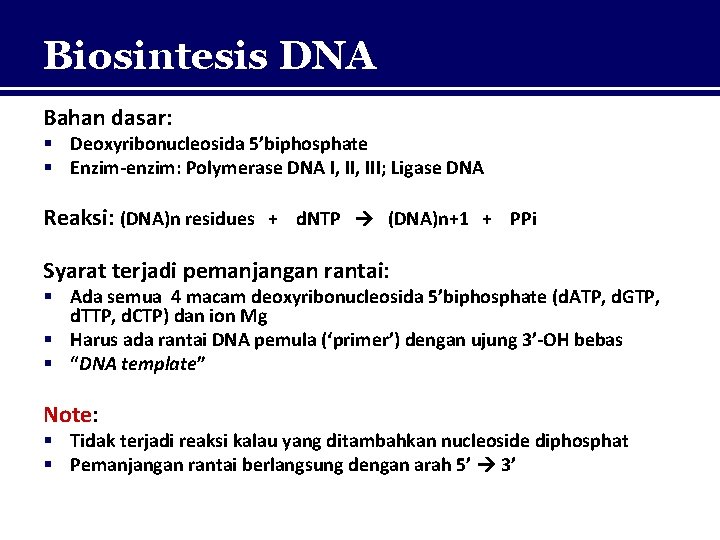 Biosintesis DNA Bahan dasar: § Deoxyribonucleosida 5’biphosphate § Enzim-enzim: Polymerase DNA I, III; Ligase