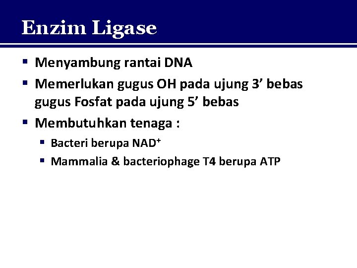 Enzim Ligase § Menyambung rantai DNA § Memerlukan gugus OH pada ujung 3’ bebas