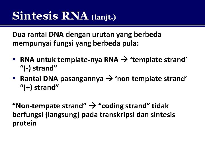 Sintesis RNA (lanjt. ) Dua rantai DNA dengan urutan yang berbeda mempunyai fungsi yang